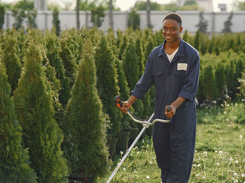 Lawn care & mowing, Knysna