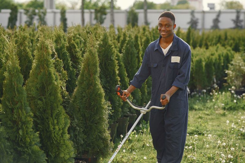 Landscaping crew member at work (stock photo, for reference only)