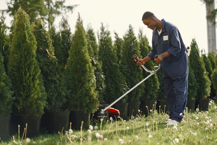 Man Trimming The Grass Using A Grass Cutter