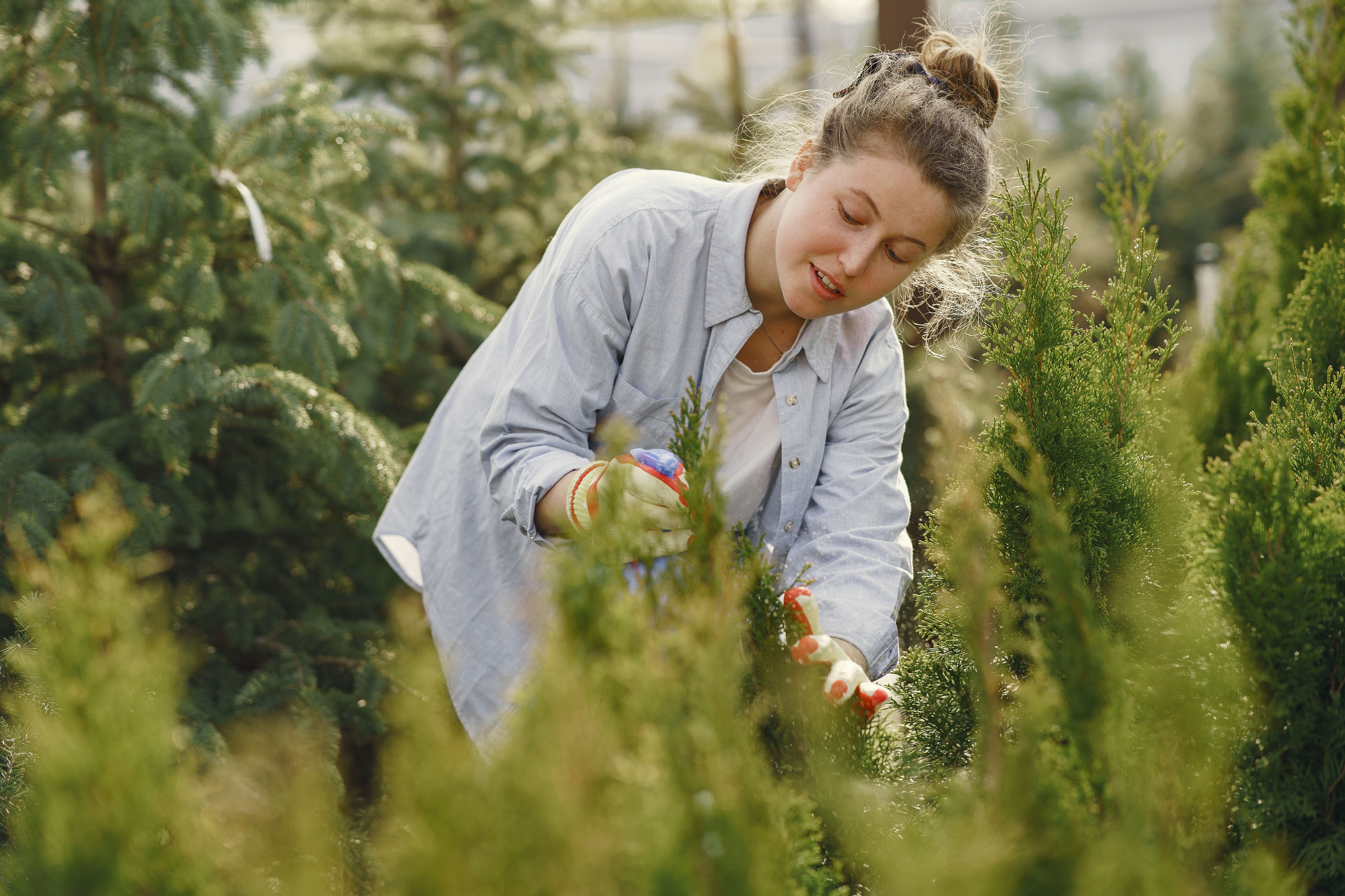 Year-round garden care throughout seasons