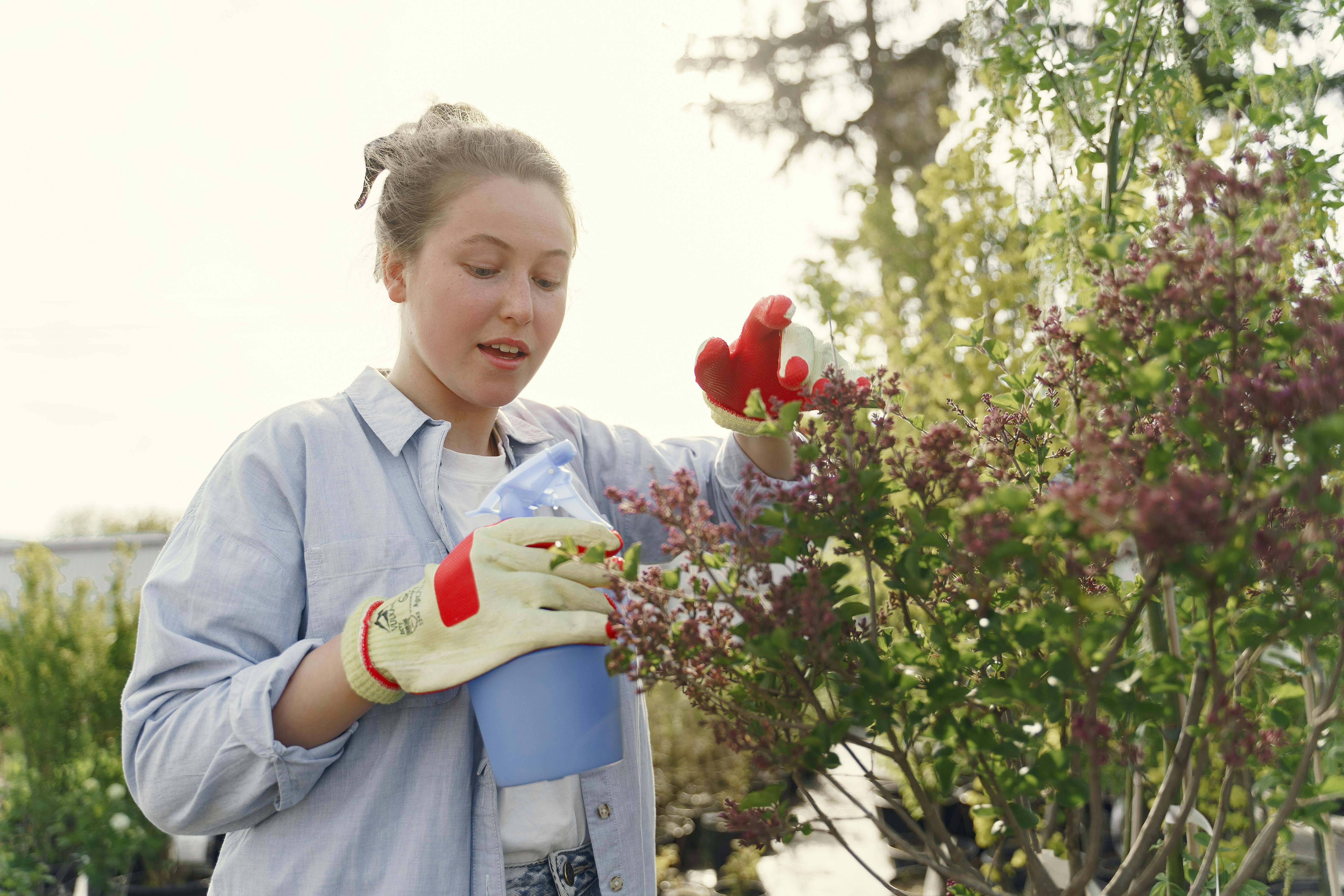 The best gardening tools, tested and expert-approved — Photo by Gustavo Fring on Pexels