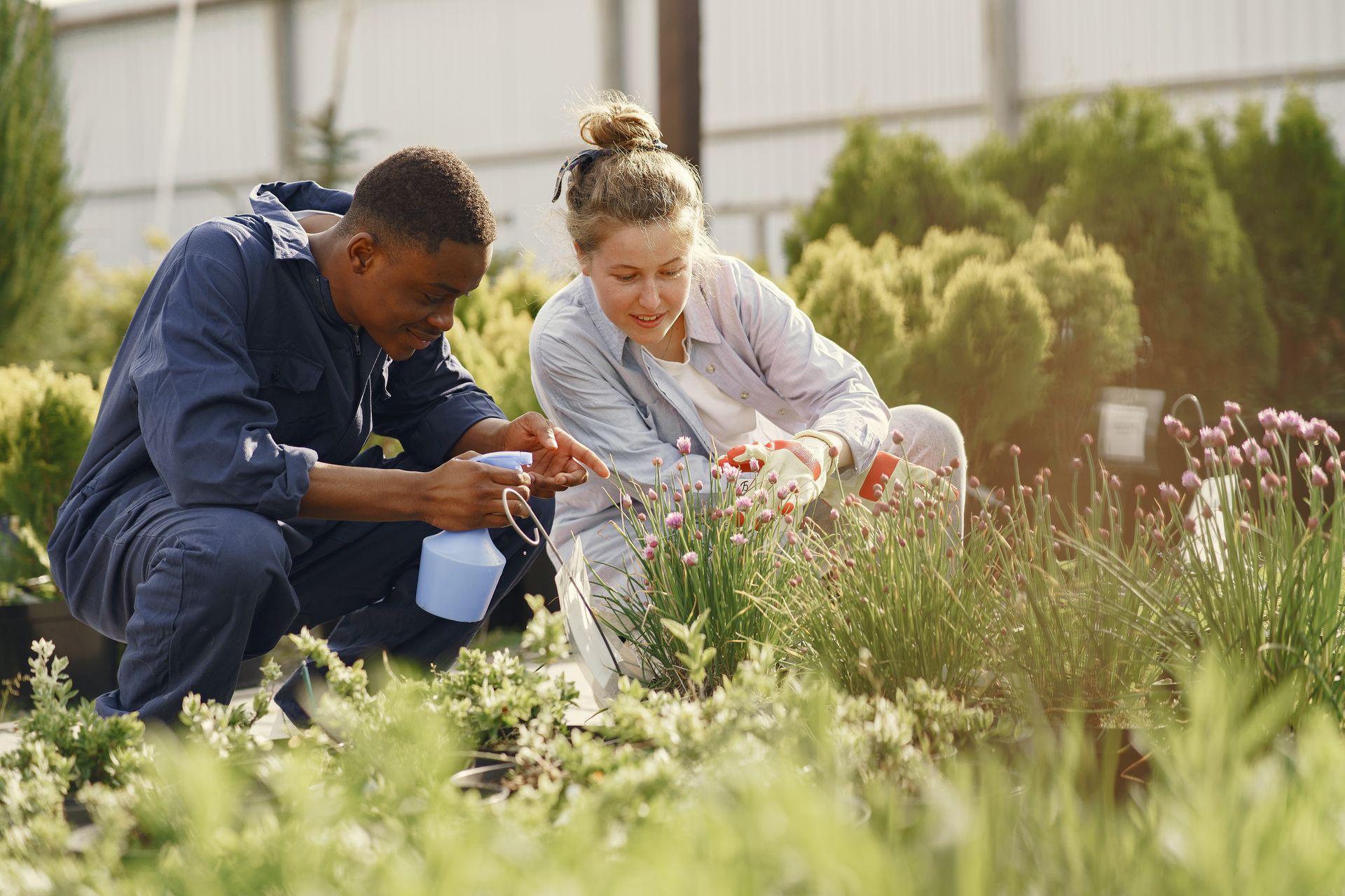 Two gardeners tending to plants with care, showcasing growth and teamwork outdoors.