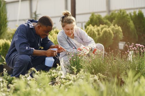 Free Two gardeners tending to plants with care, showcasing growth and teamwork outdoors. Stock Photo