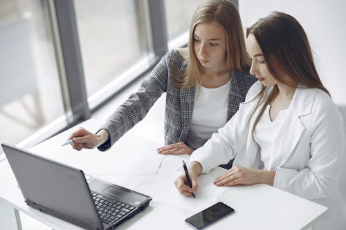 Female Professionals working Together