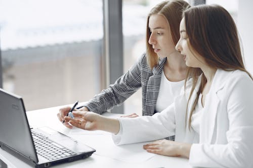 Female Professionals working Together