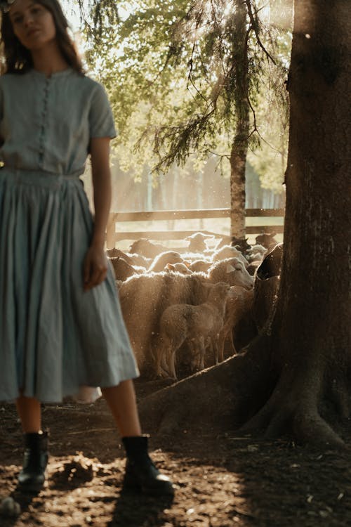 Woman in White Dress Standing Near Brown Tree