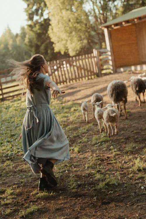 Woman in Gray Dress Holding White and Brown Goats