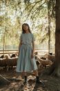 Girl in Blue Dress Standing on Brown Tree Log