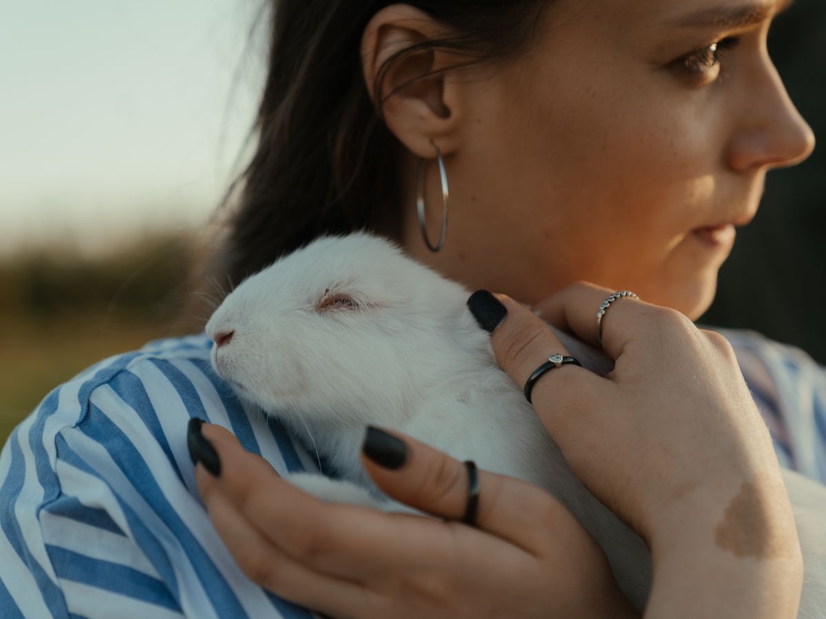 Person holding a white rabbit during sunset
