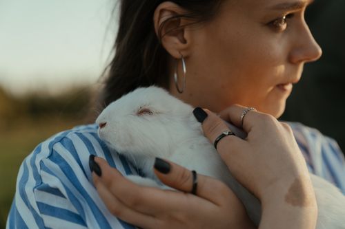 Free A woman gently holding a white rabbit outdoors during sunset, creating a warm and serene moment. Stock Photo