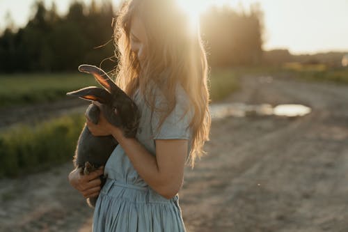 açık hava, akşam Güneşi, alice içeren Ücretsiz stok fotoğraf