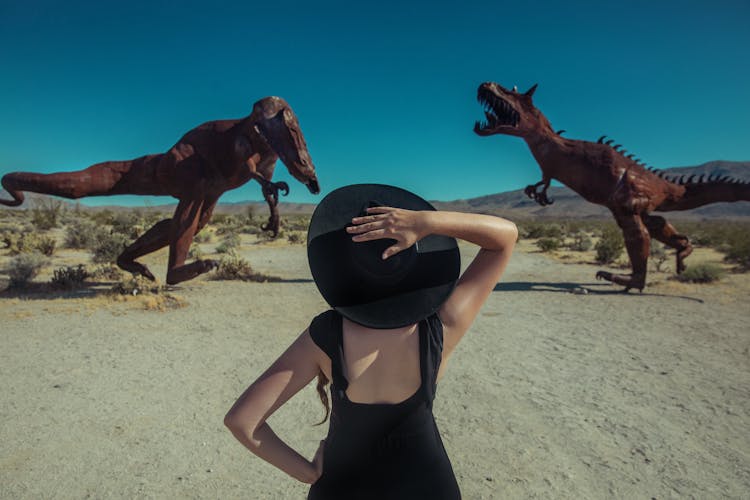 A Woman Standing In Front Of Metal Dinosaur Structures In 
Borrego Springs California