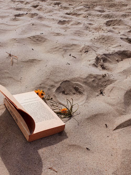Close-up Photo of Book on Sand 