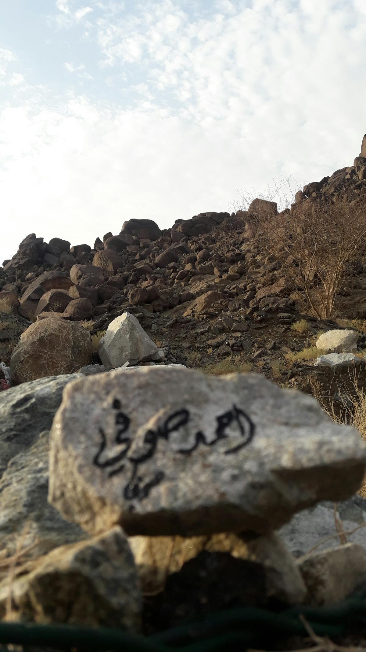 Person journaling and planning healthy lifestyle goals