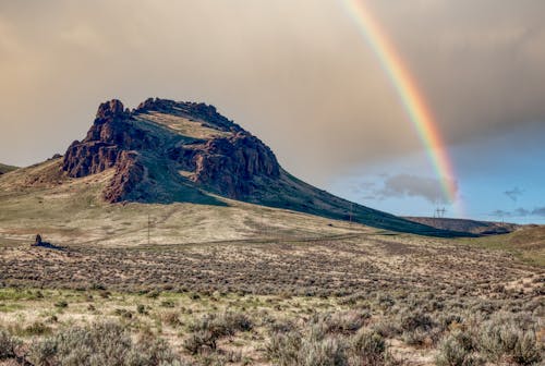 Scenery view of bright rainbow in cloudy sky over dry land with succulent plants and mountain