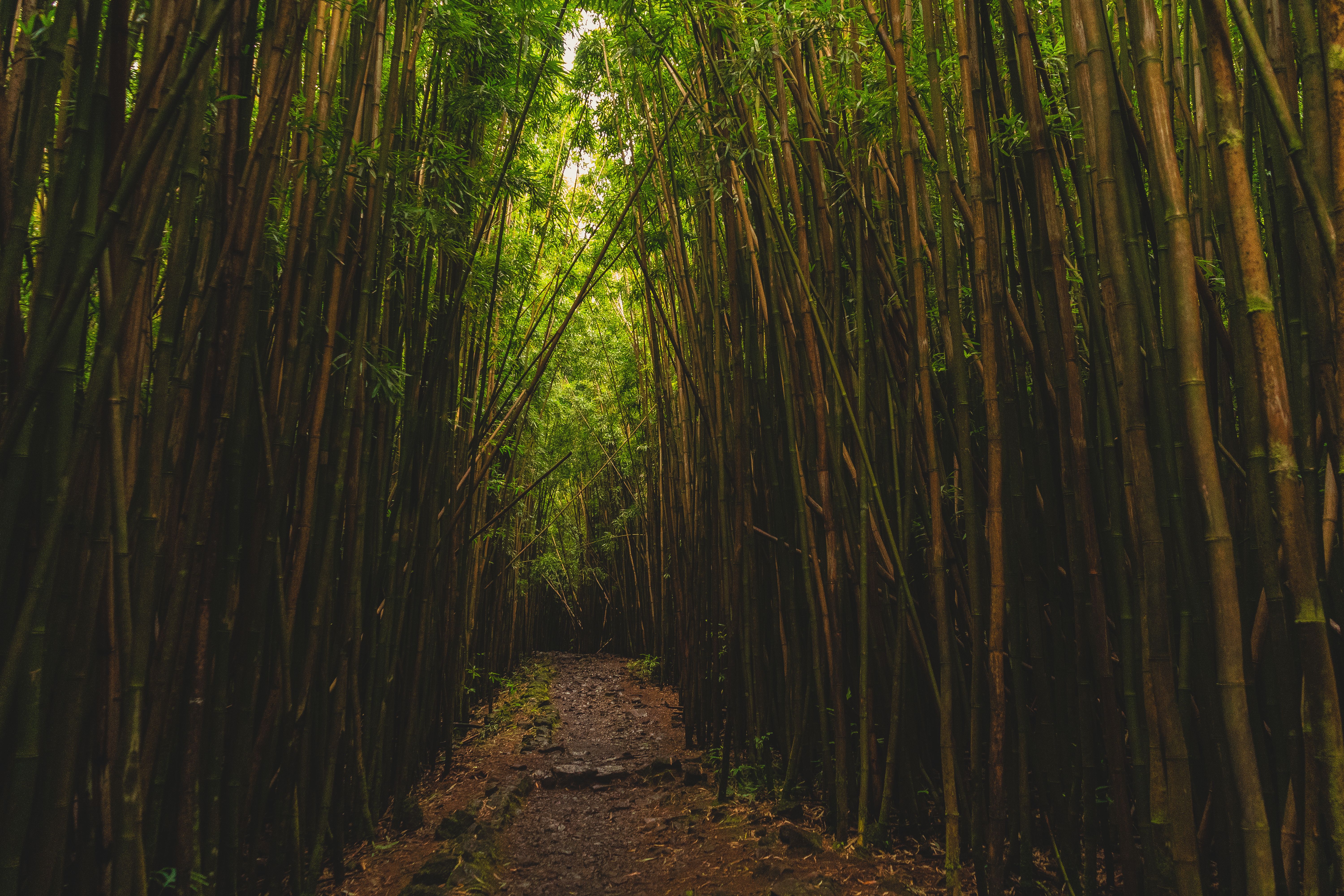 Ecoturismo en Vilcabamba