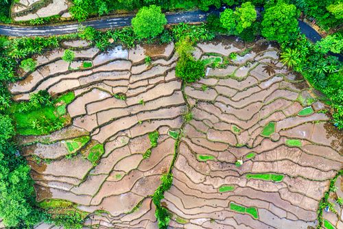Free Stunning aerial view of rice terraces in West Java, capturing vibrant greenery and intricate patterns. Stock Photo