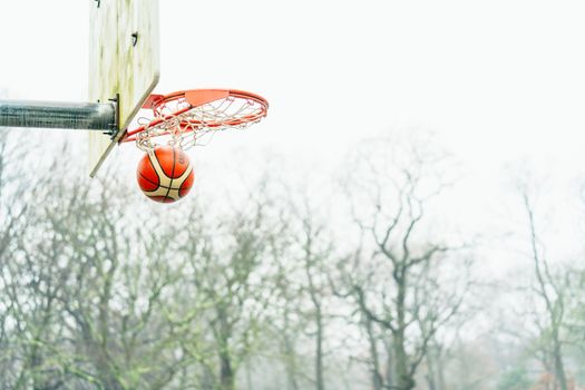 Basketball hoop with ball in net against tree backdrop on a clear day.