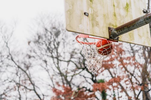 A Basketball Hoop With Ball Inside