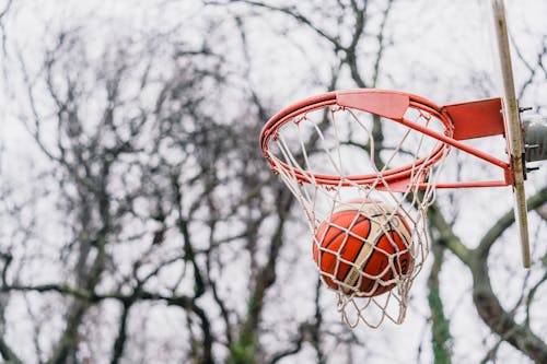 A Basketball Inside the Net