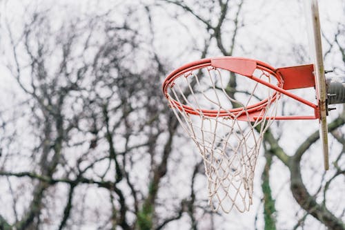 A Basketball Hoop with Net