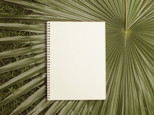 Imagine de stoc gratuită din a închide, caiet, frunza de palmier