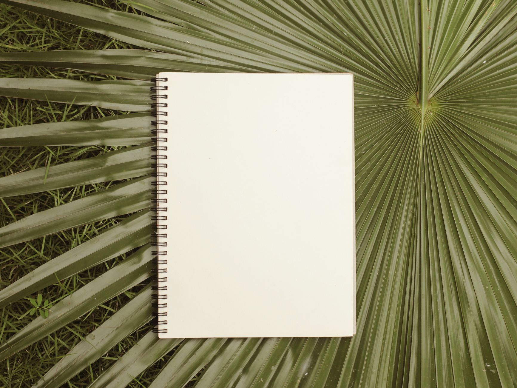Notebook on Palm Leaf