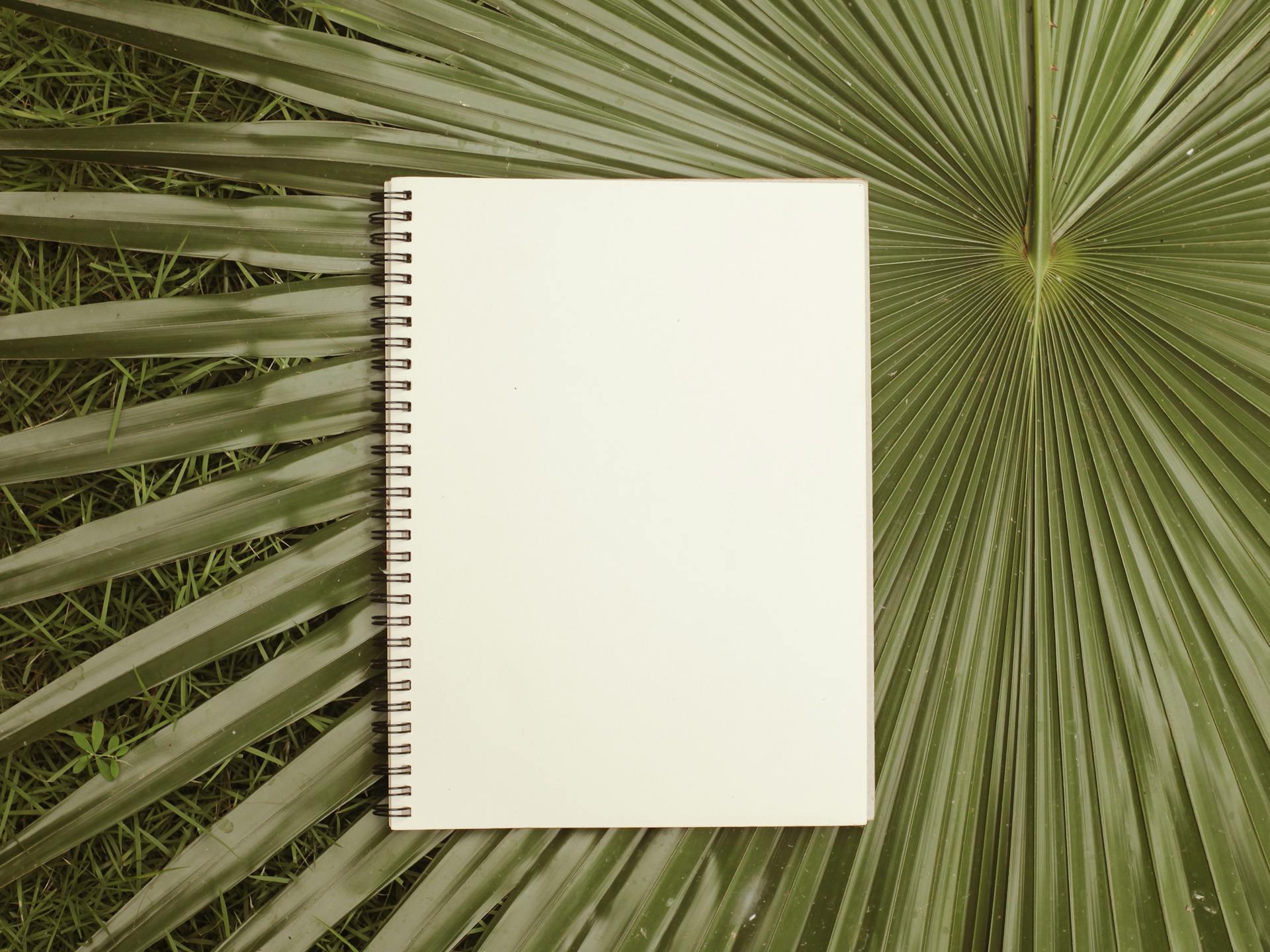 Top view of a blank spiral notebook on a palm leaf, perfect for design mockups and creativity.