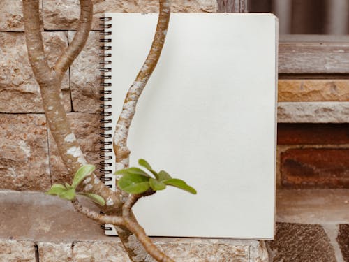 Notebook Beside a Plant