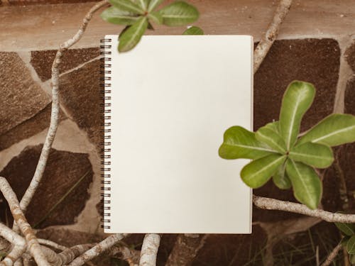 Kostnadsfri bild av anteckningsbok, gröna löv, håna upp