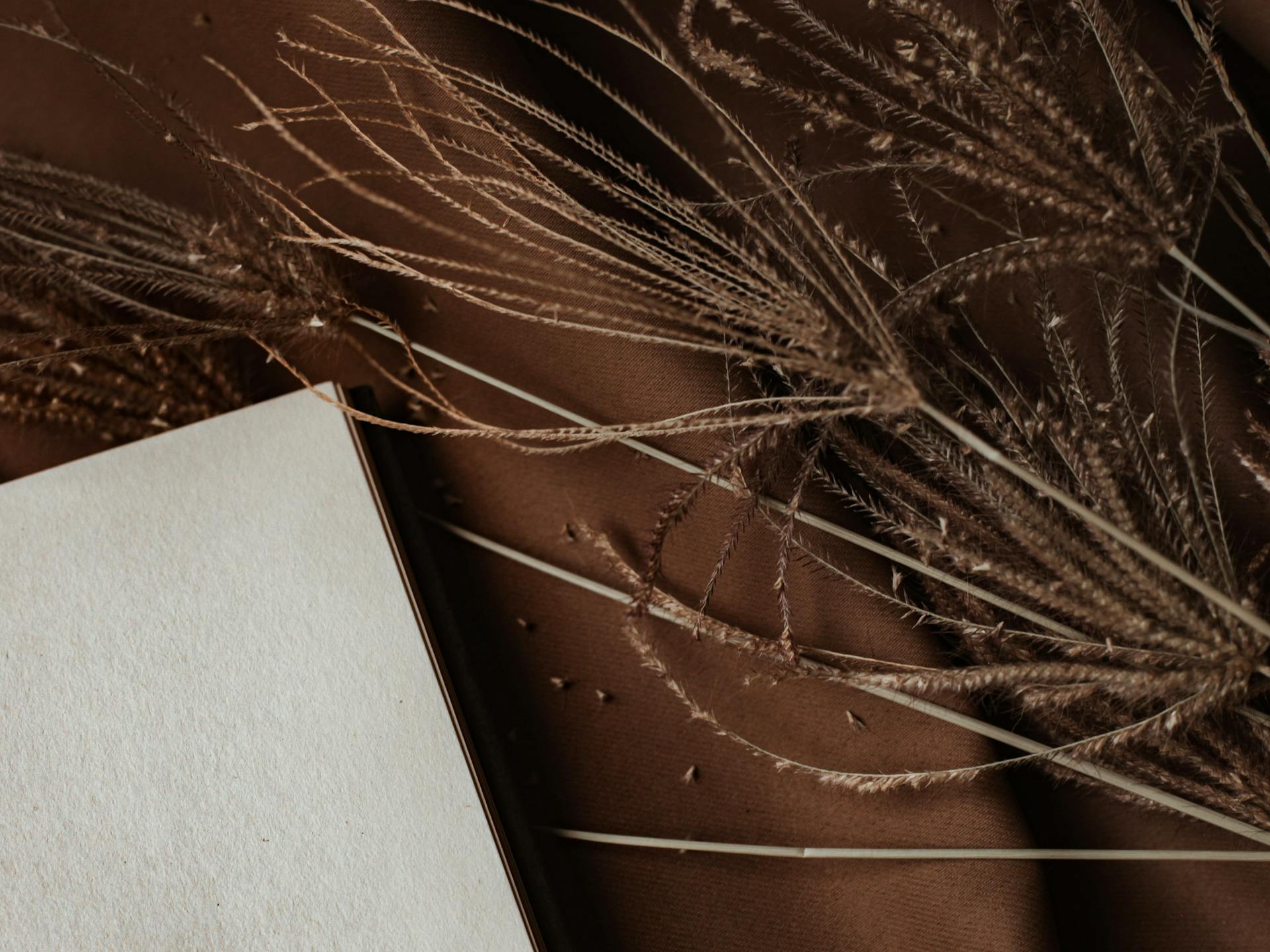 Aesthetic close-up of dry stems and leaves against a textured paper backdrop.