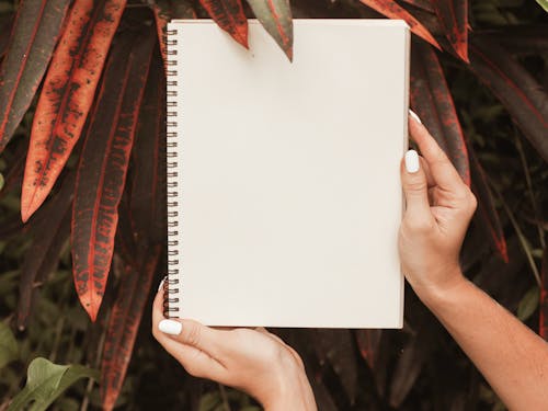 Person Holding a Notebook 