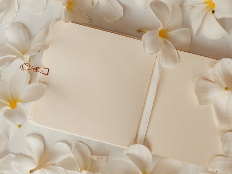 Memo Pad Among Flowers