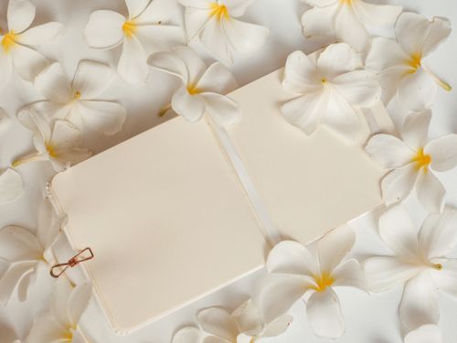 Free Top view of a blank sketchpad surrounded by white frangipani flowers, perfect for mockup or nature-themed designs. Stock Photo