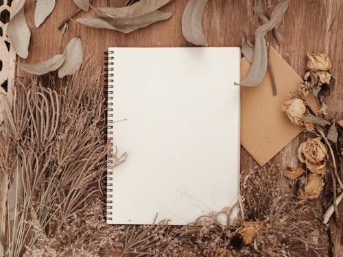 Opened Notebook with Blank Pages · Free Stock Photo