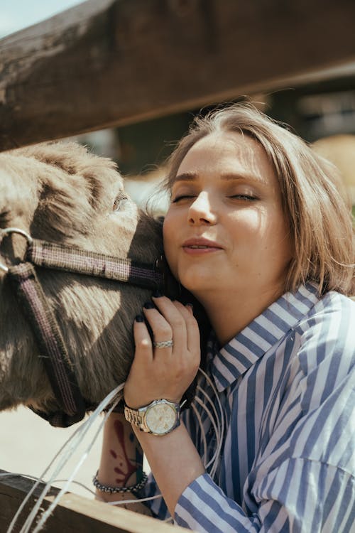 Foto profissional grátis de aldeia, animal de estimação, animal doméstico