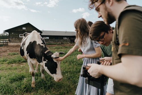Woman in Blue and White Stripe Shirt Standing Beside White and Black Cow