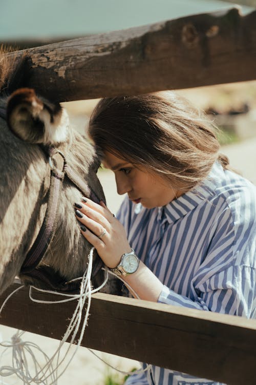 Man in Blue and White Striped Dress Shirt Hugging Monkey