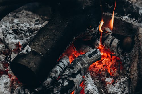Close-up of a Burning Wood 
