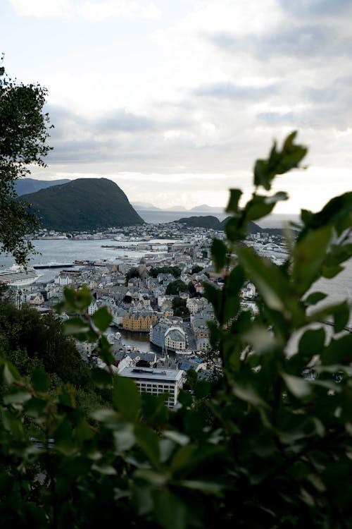 Coastal Town Landscape Photographed from Behind the Trees 