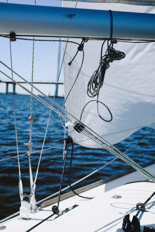 Witte En Zwarte Boot Op Zee