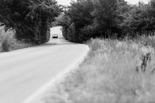 A Grayscale Photo of a Car on the Road Between Trees