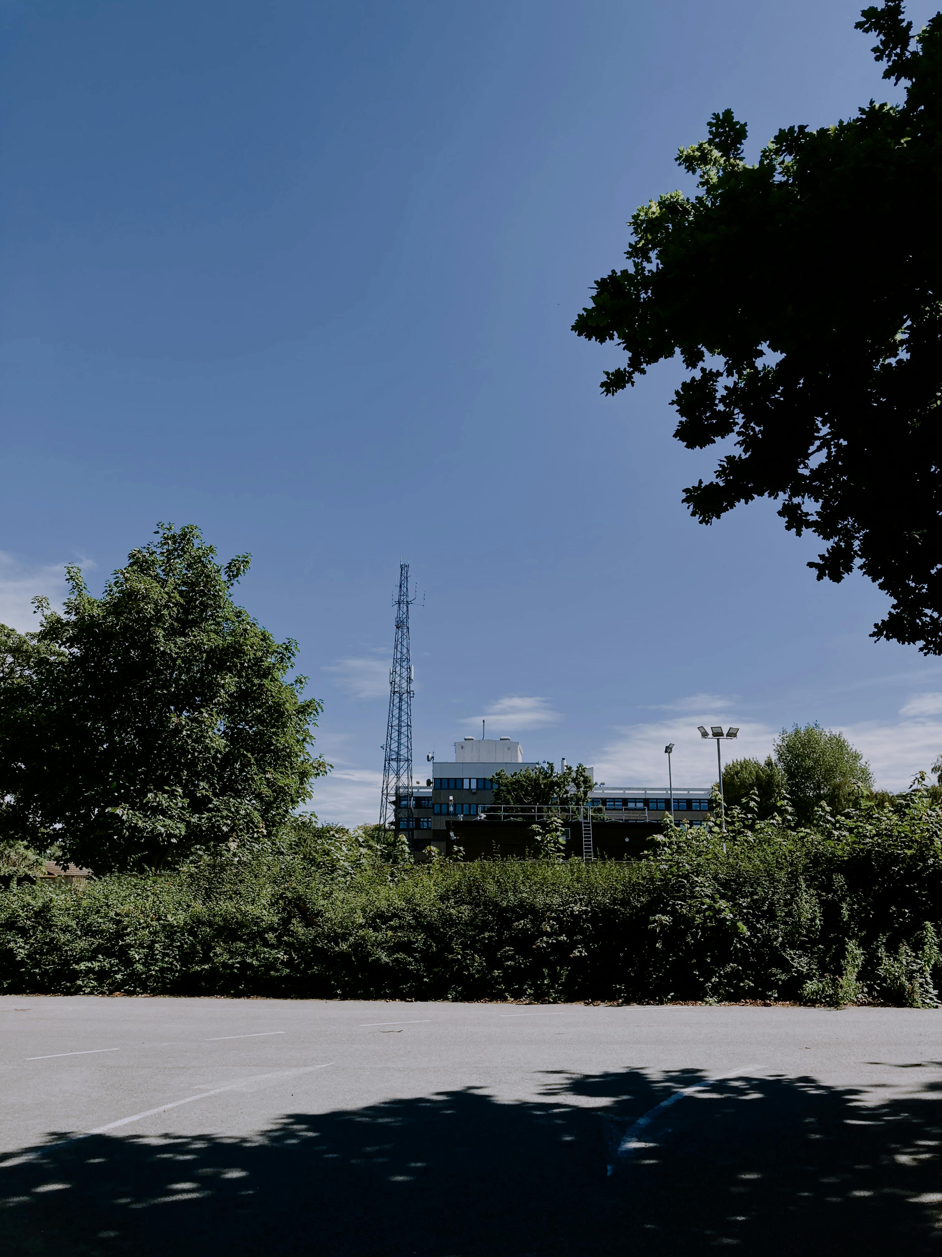 Empty asphalt road with shadow of tree located near green plants and contemporary building and antenna tower
