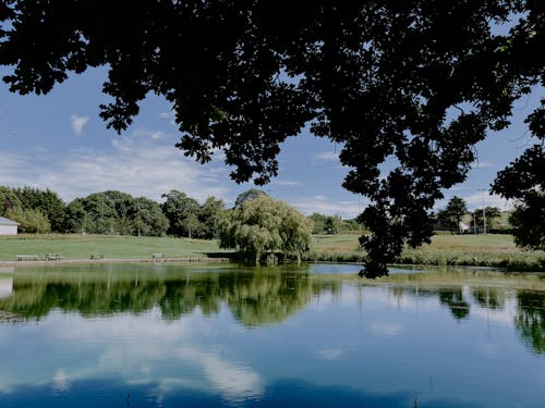 Picturesque landscape of calm lake surrounded by green grass and trees against cloudless blue sky