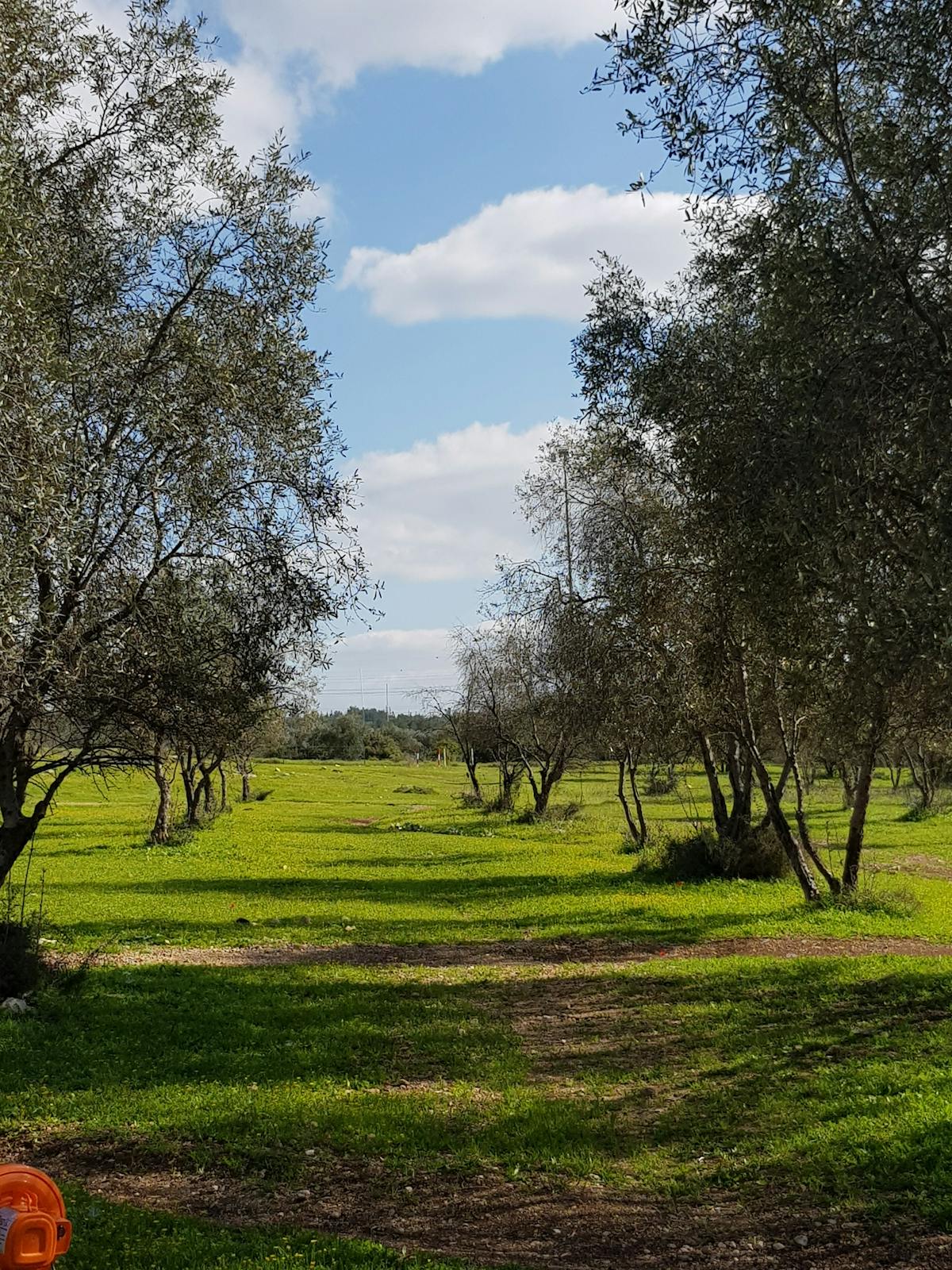 Greek yogurt bowl with honey, nuts, and fruit