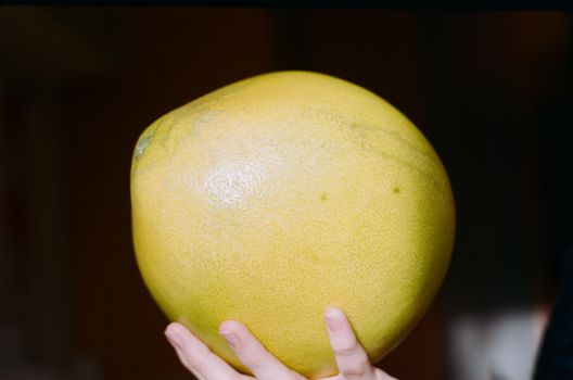 Crop unrecognizable person demonstrating colorful big ripe pomelo fruit with shiny peel on dark background