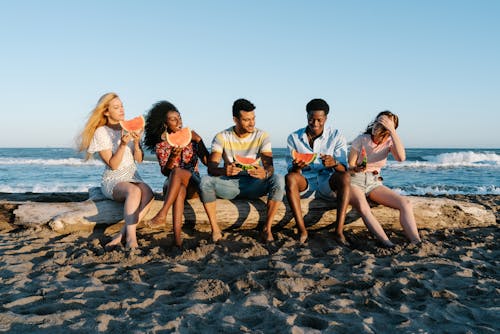 Free Group of young smiling multiethnic partners eating delicious watermelon slices while sitting on fallen tree trunk on sandy ocean coast Stock Photo
