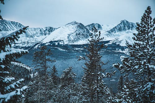 Kostenloses Stock Foto zu bäume, berg, landschaft