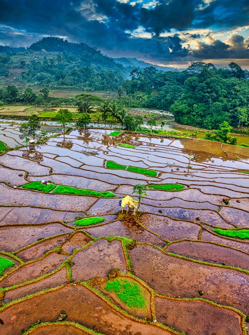 Fotobanka s bezplatnými fotkami na tému hory, Indonézia, krajina