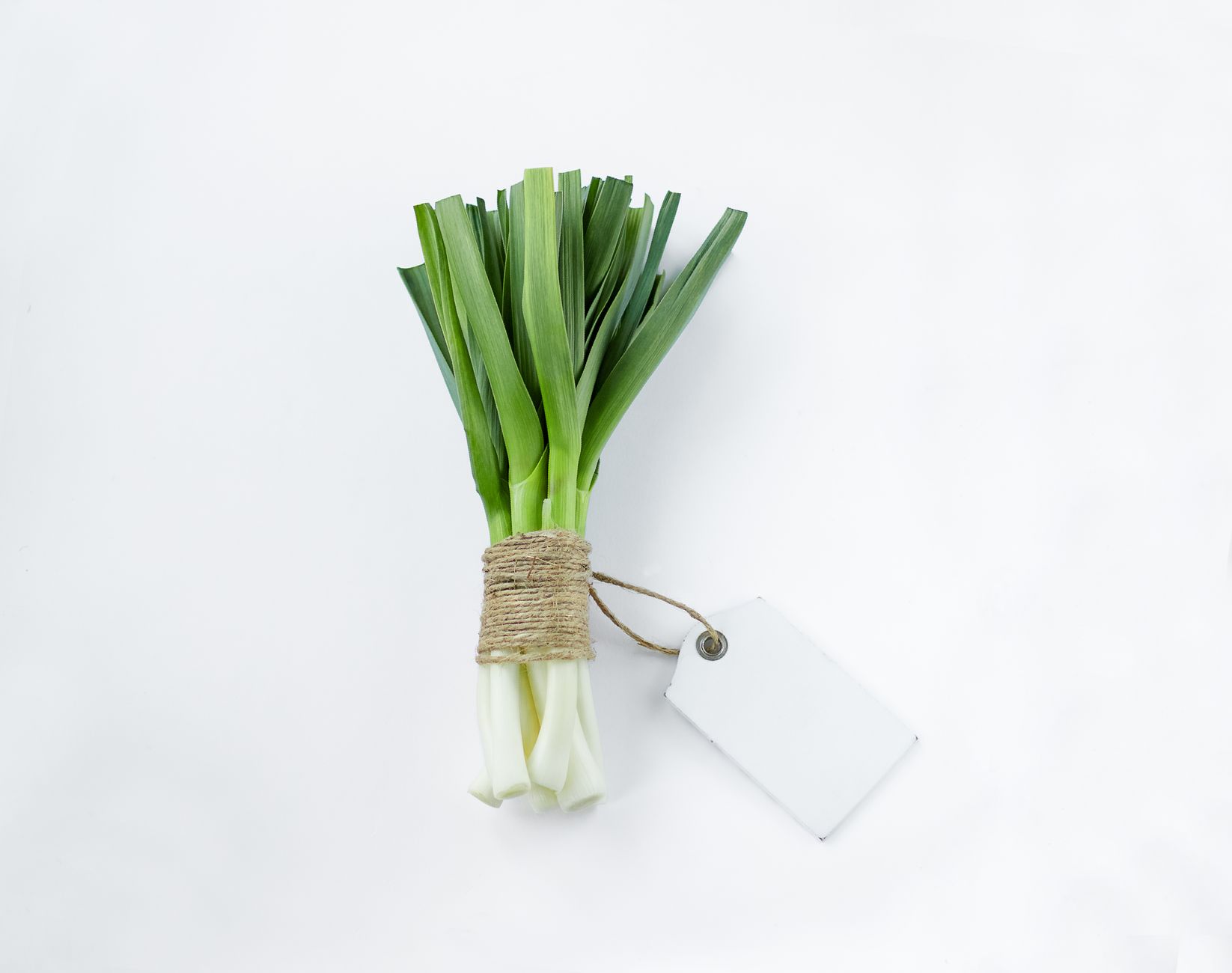 Fresh green onions and leeks side by side on cutting board